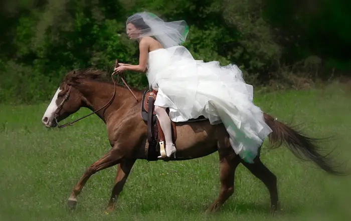 Braut reitet am Hochzeitstag auf Pferd